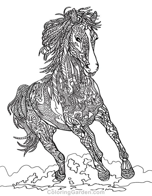 50 Horse Coloring Book 35