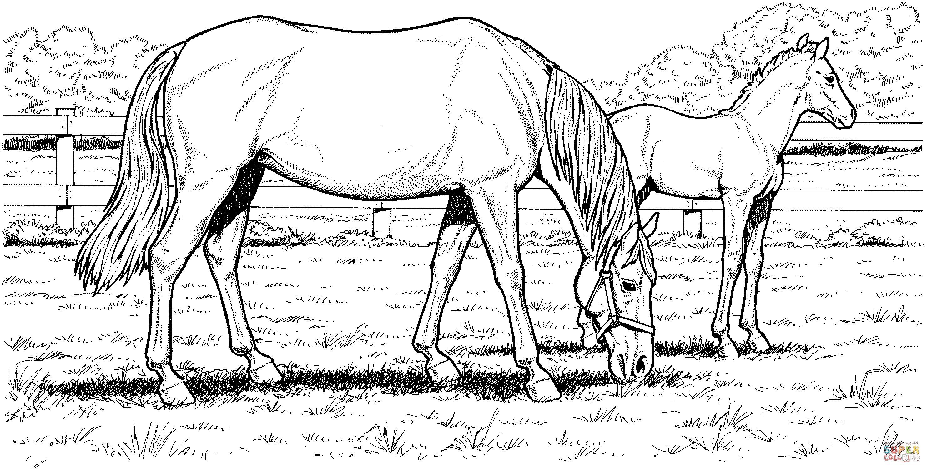 50 Horse Coloring Book 4