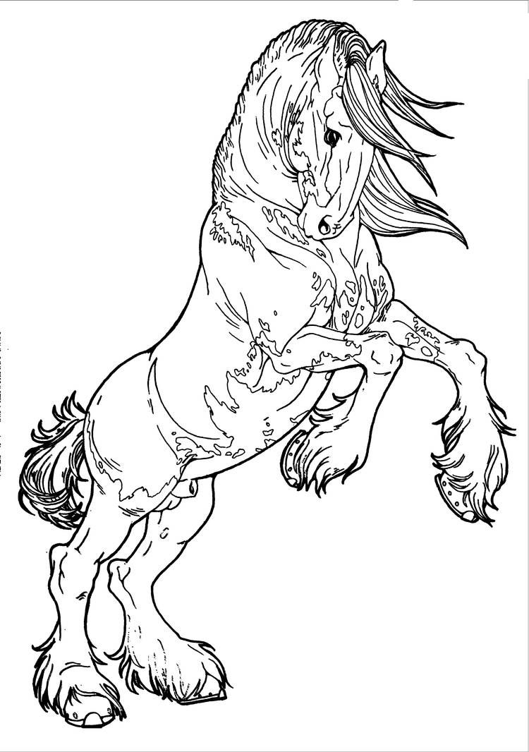 50 Horse Coloring Book 41