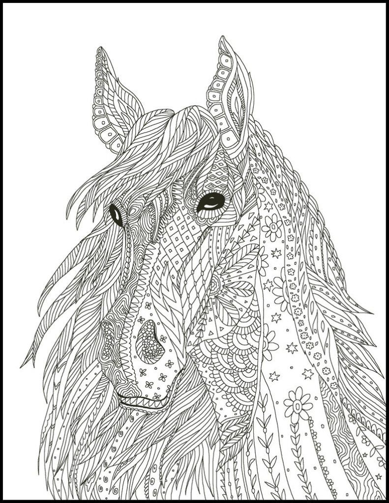 50 Horse Coloring Book 42