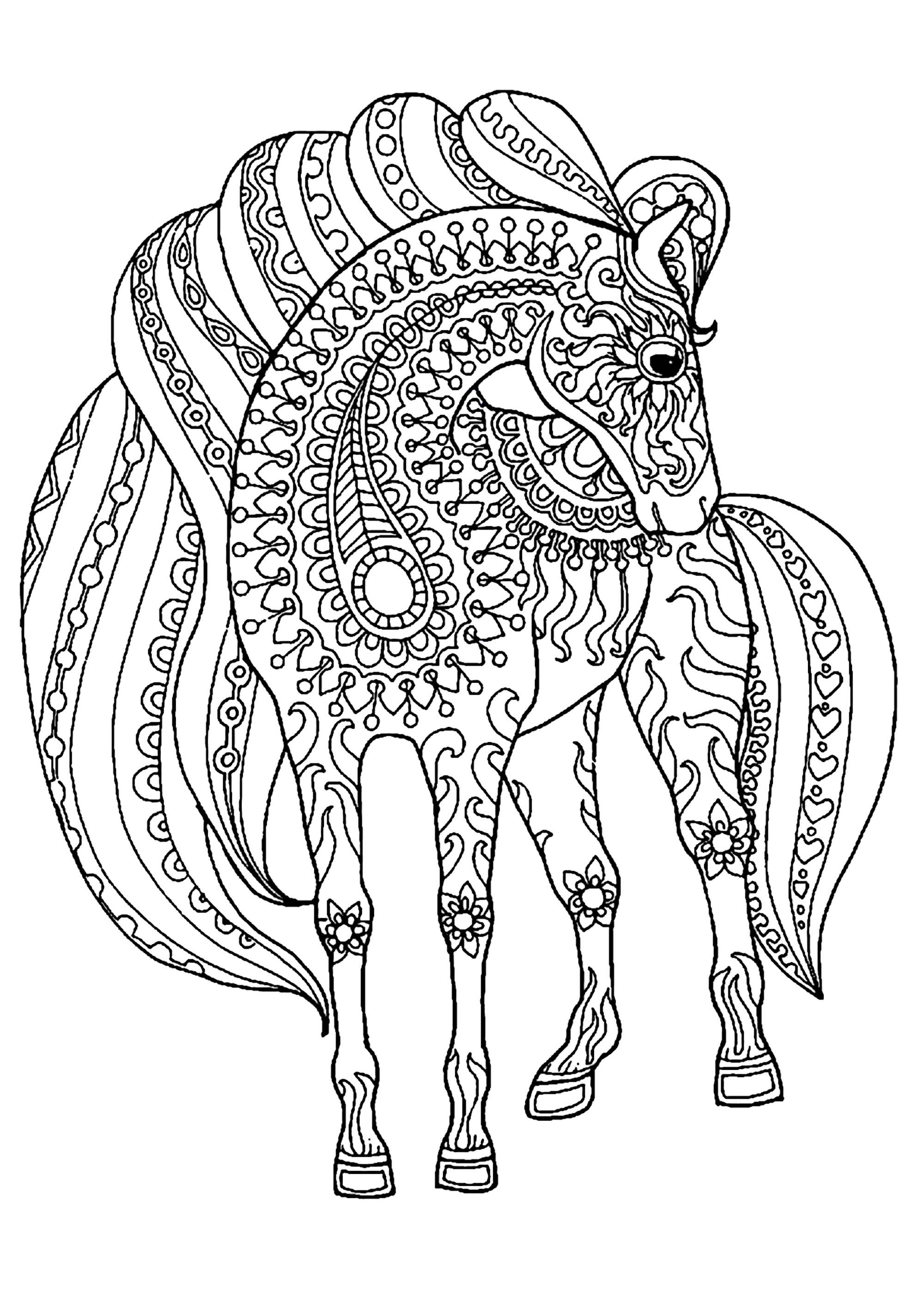 50 Horse Coloring Book 43