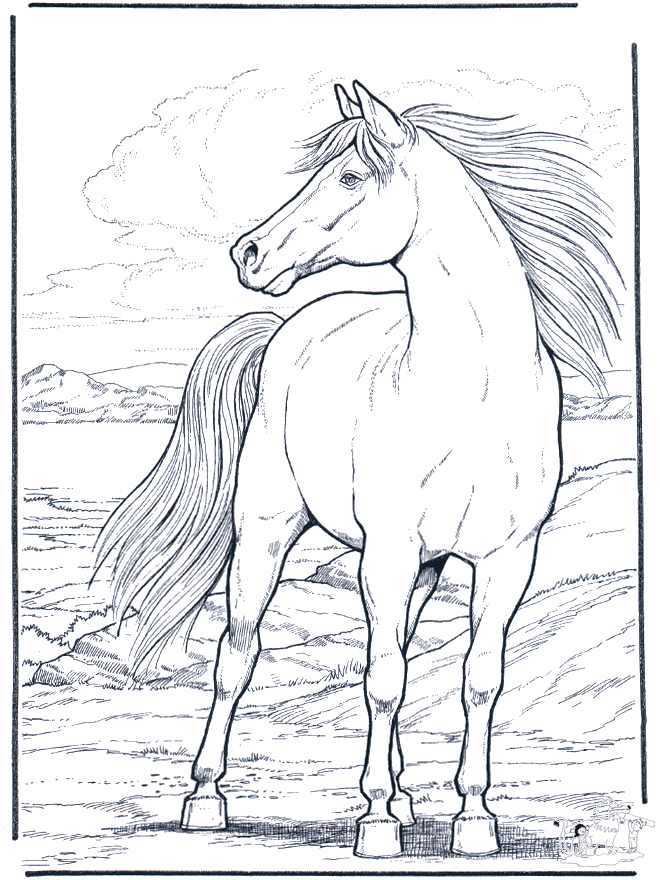 50 Horse Coloring Book 44