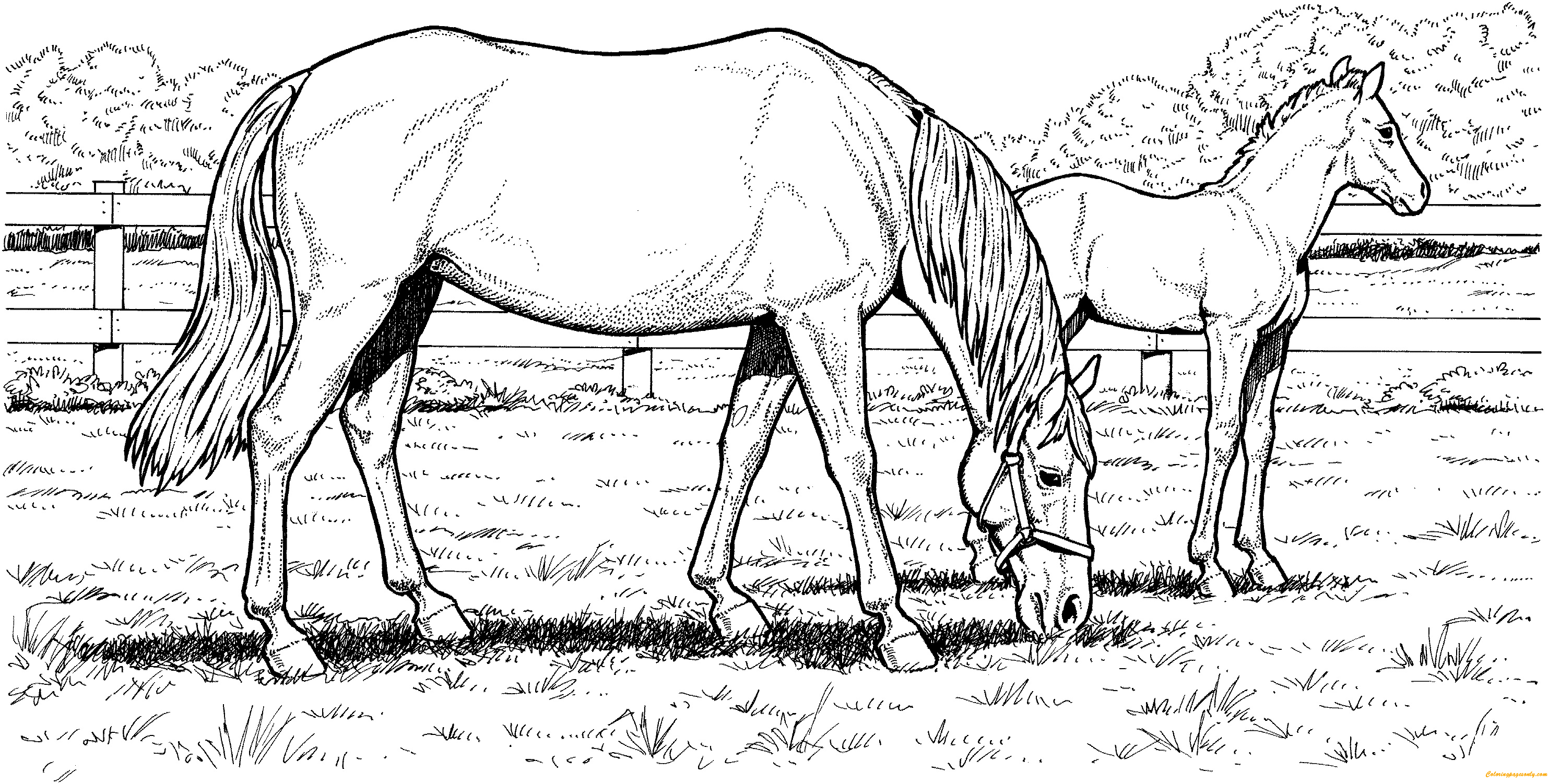 50 Horse Coloring Book 46