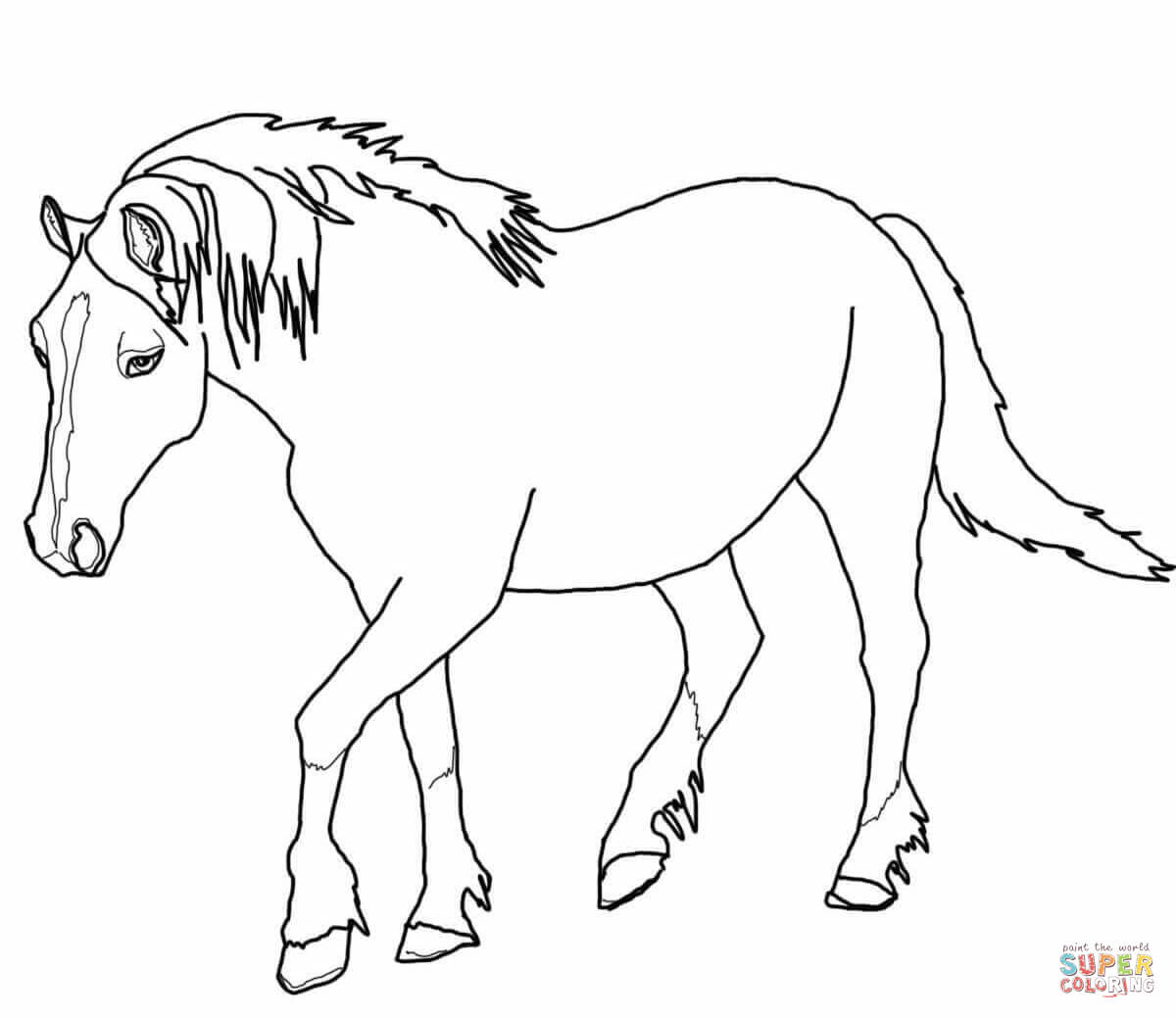 50 Horse Coloring Book 48