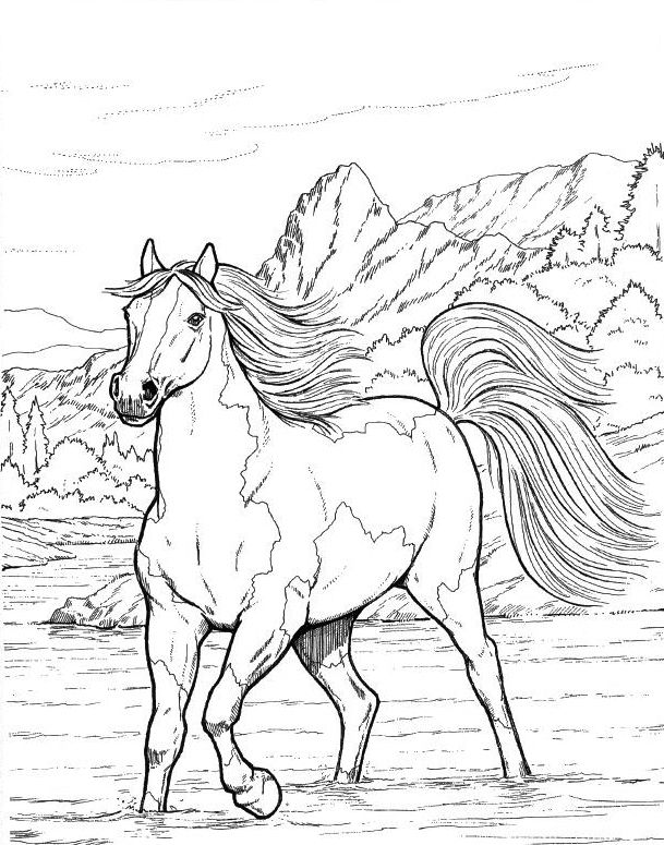 50 Horse Coloring Book 49