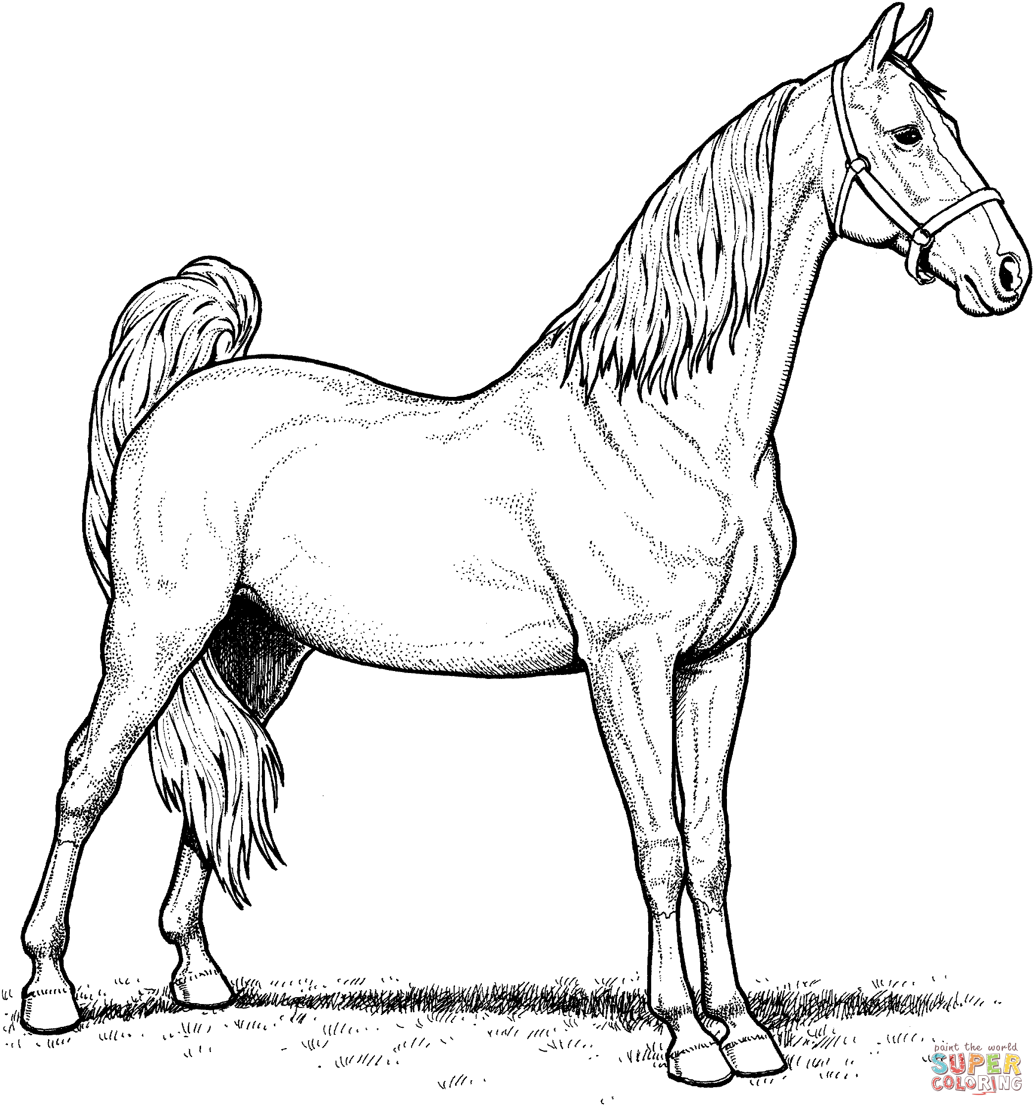 50 Horse Coloring Book 5