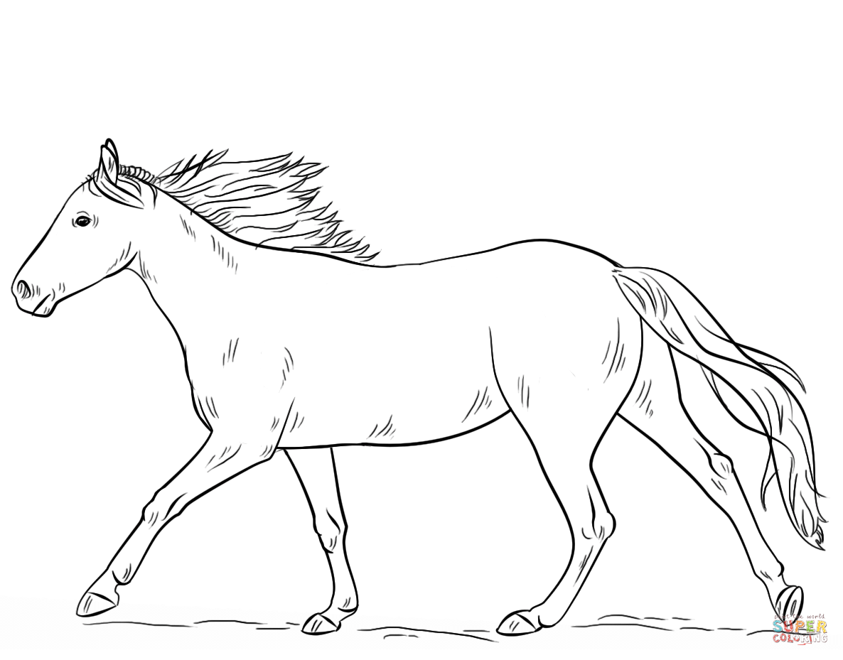 50 Horse Coloring Book 51