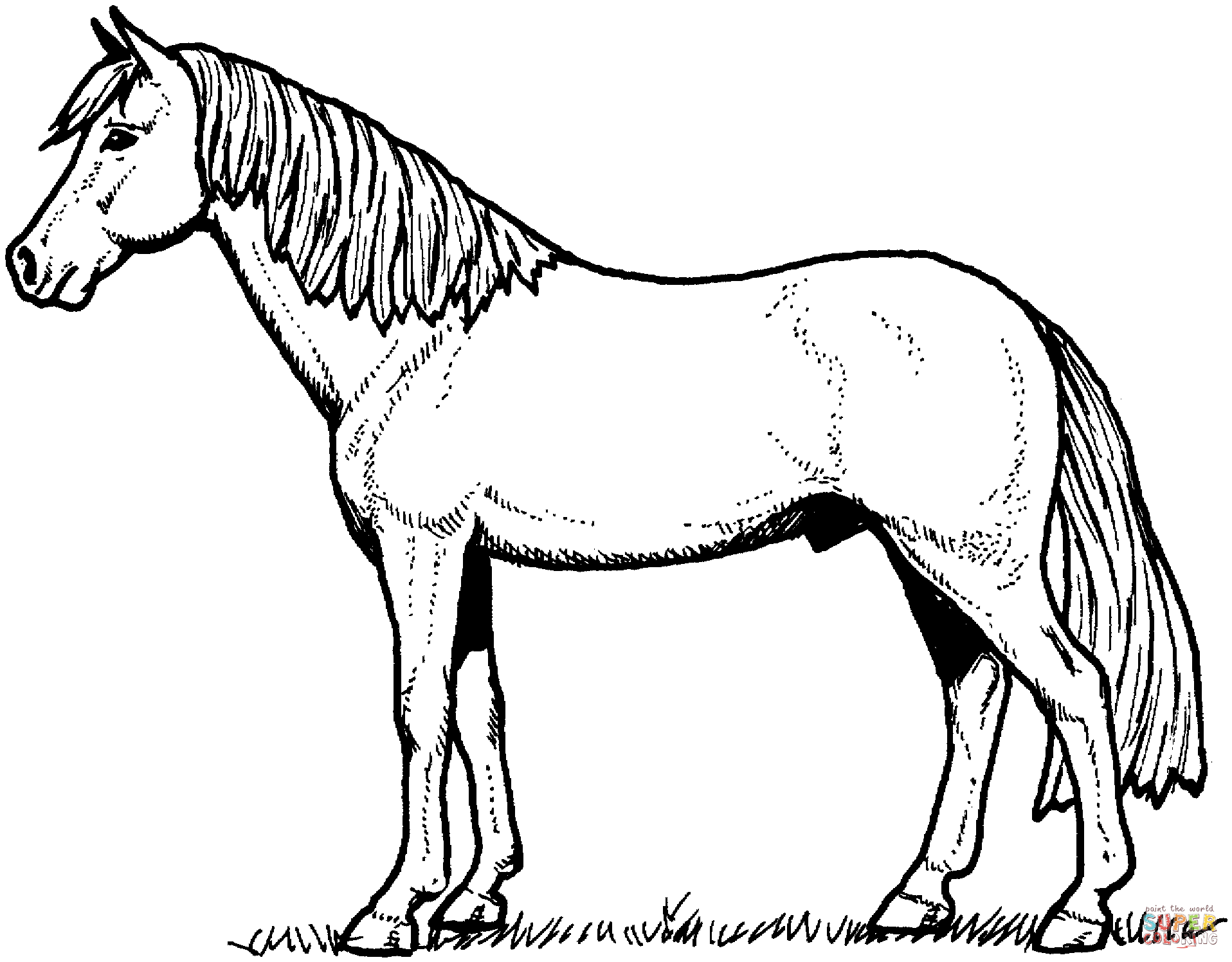 50 Horse Coloring Book 52