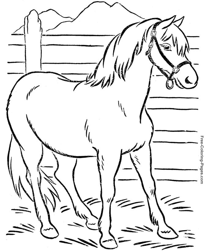 50 Horse Coloring Book 54