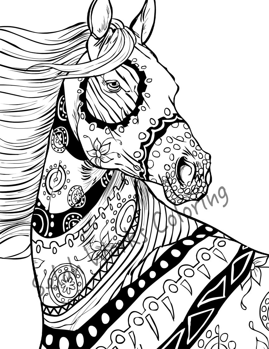 50 Horse Coloring Book 56