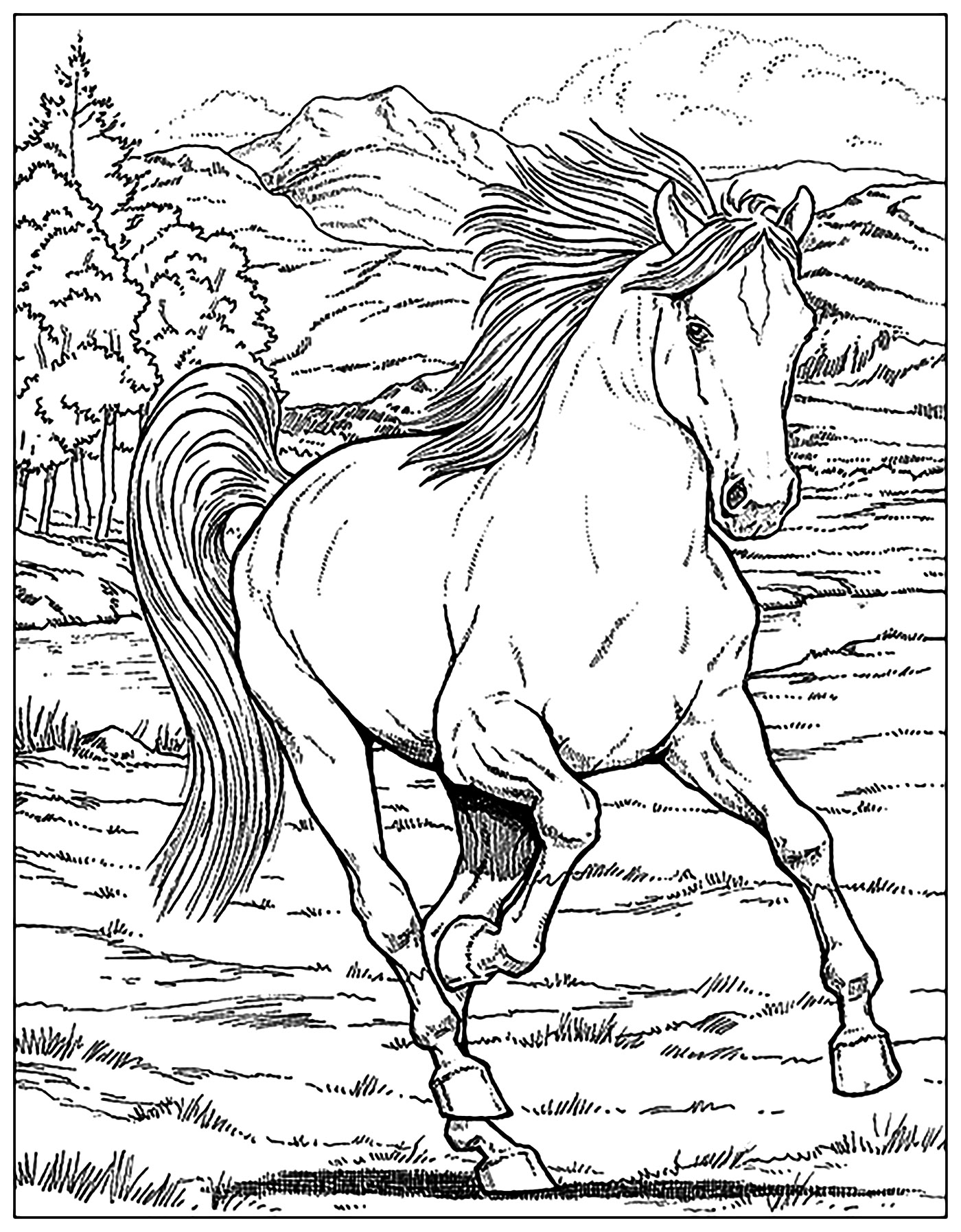 50 Horse Coloring Book 7