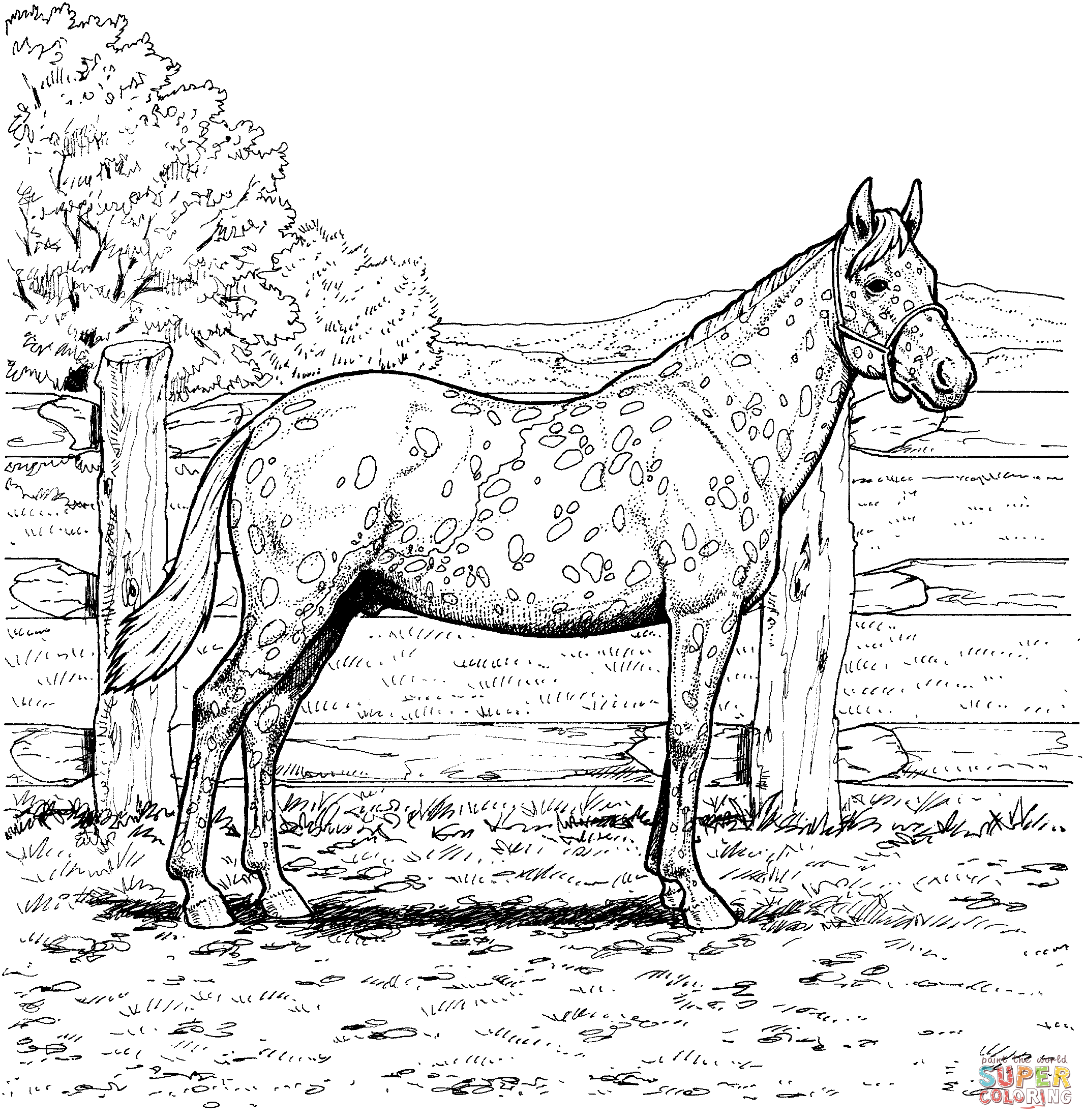 50 Horse Coloring Book 8