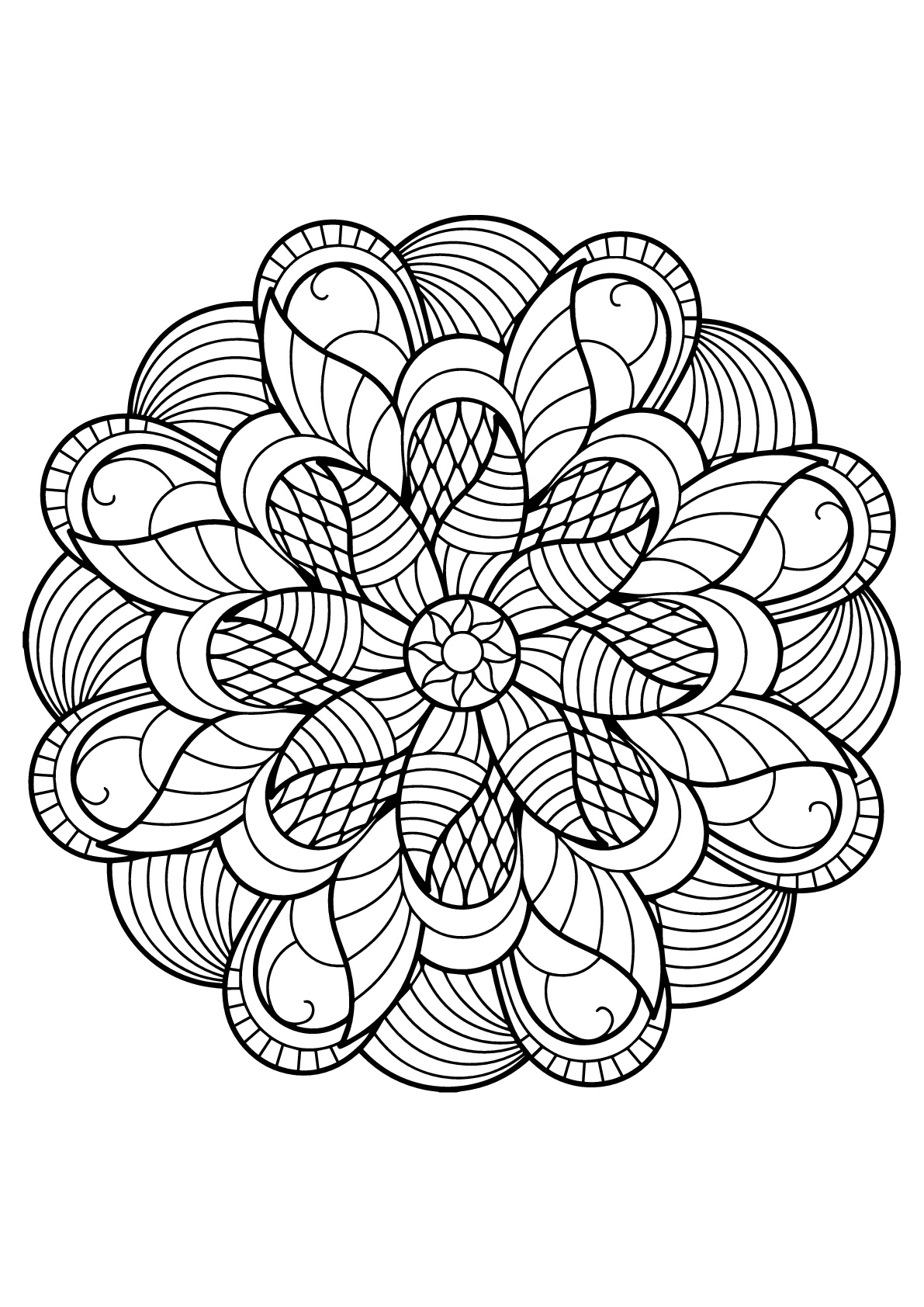 50 Mandala Coloring Book Pages 50