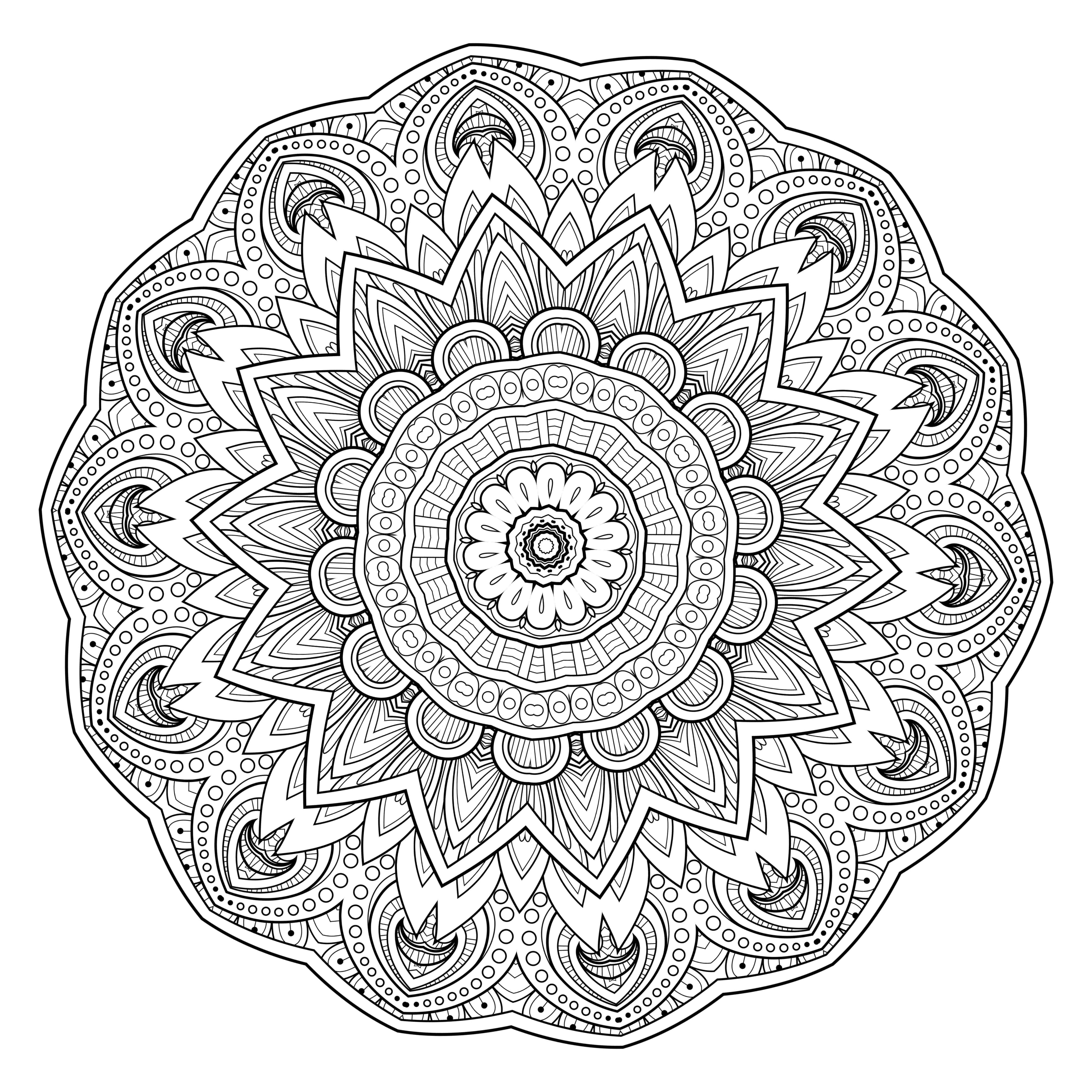 50 Mandala Coloring Book Pages 58