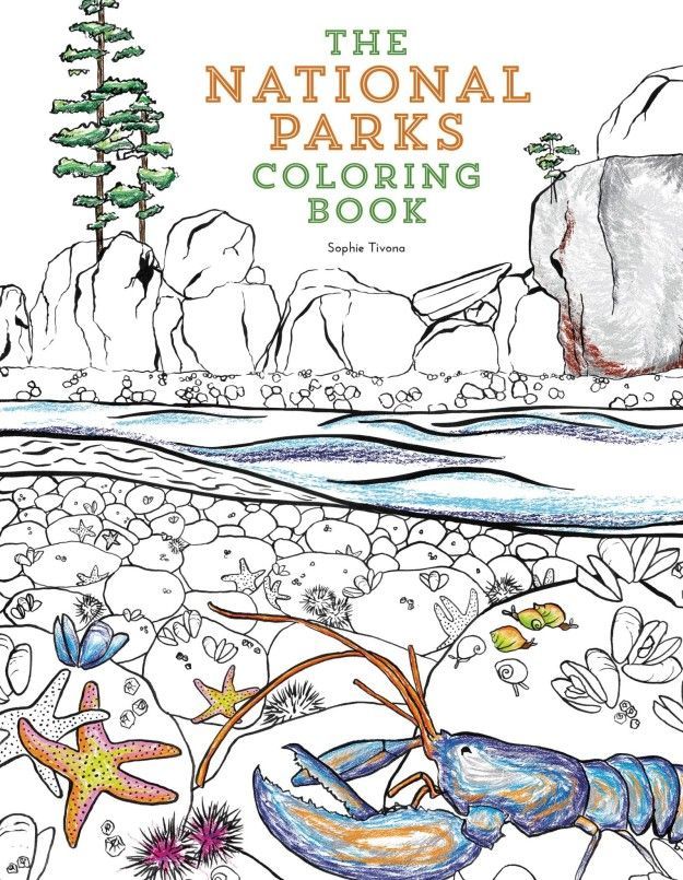 50 National Parks Coloring Book 11