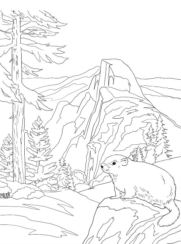 50 National Parks Coloring Book 19