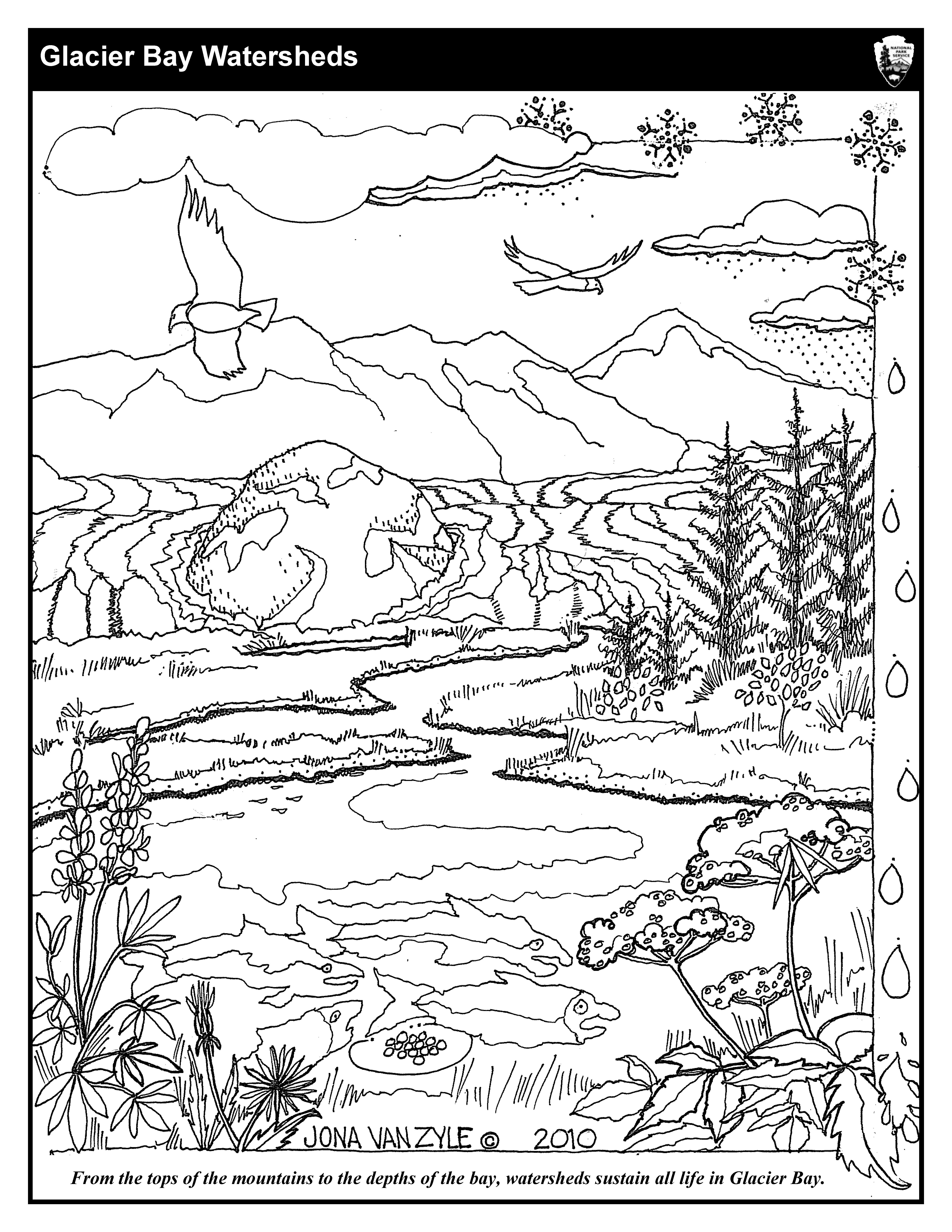 50 National Parks Coloring Book 48