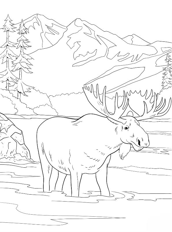 50 National Parks Coloring Book 68