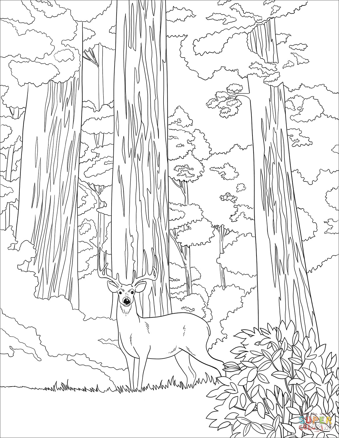 50 National Parks Coloring Book 69