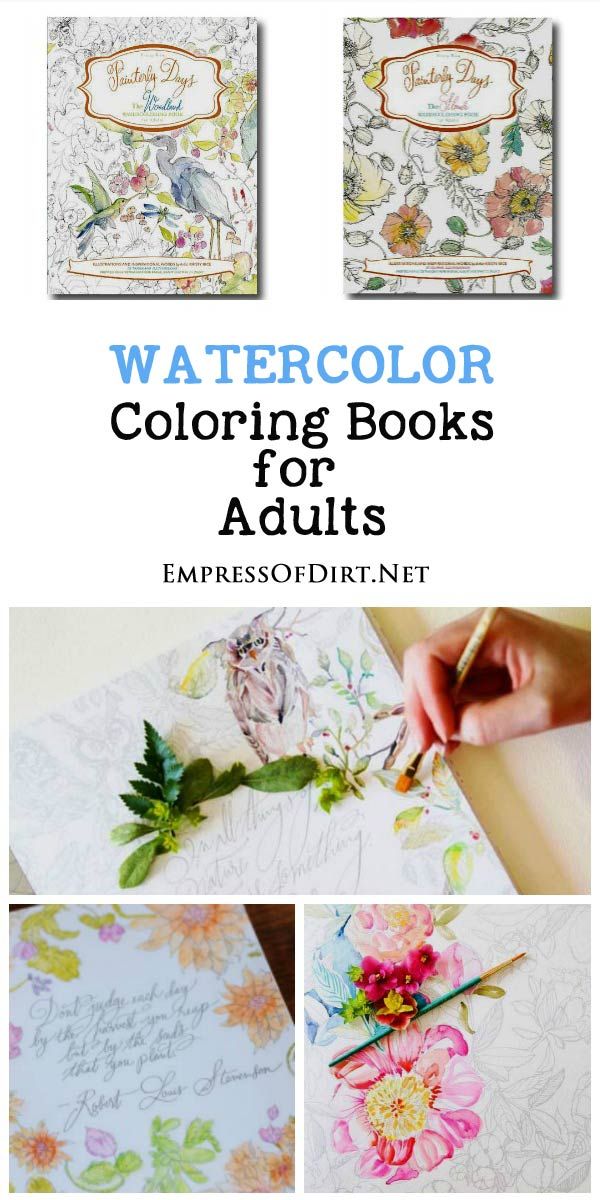 80 Printable 80 Printable Watercolor Coloring Books 32