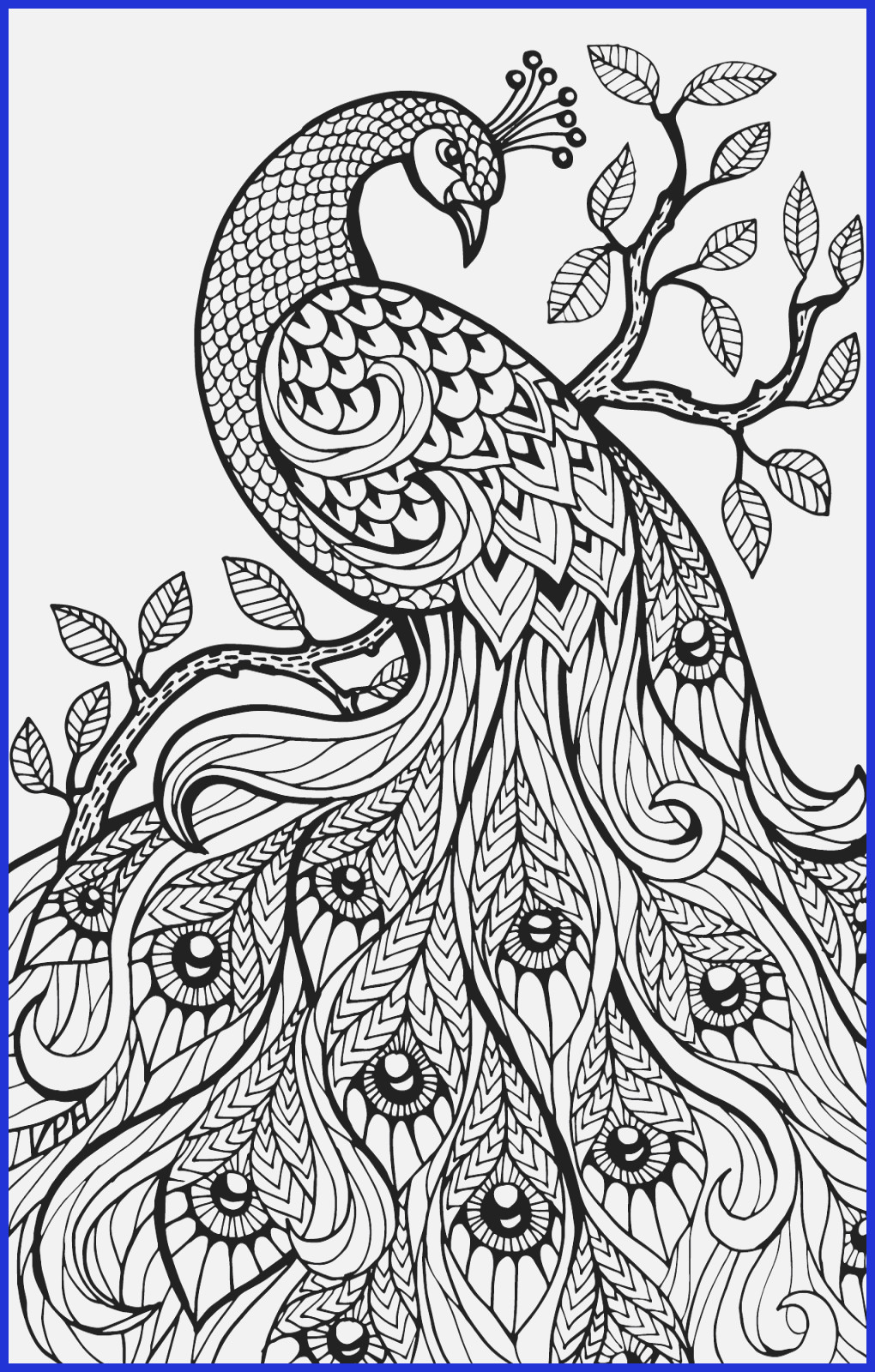 80 Printable 80 Printable Watercolor Coloring Books 5