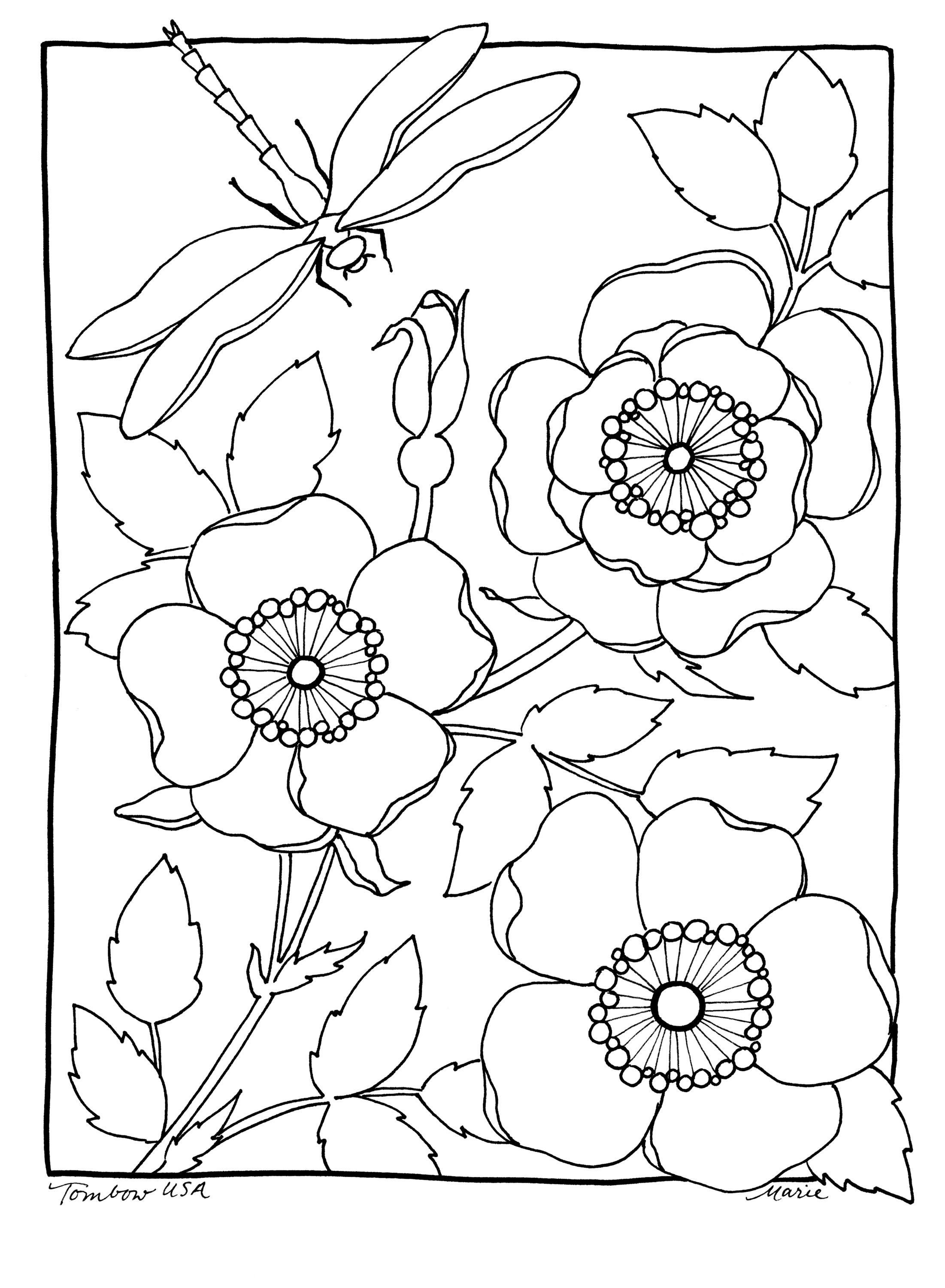 80 Printable 80 Printable Watercolor Coloring Books 51