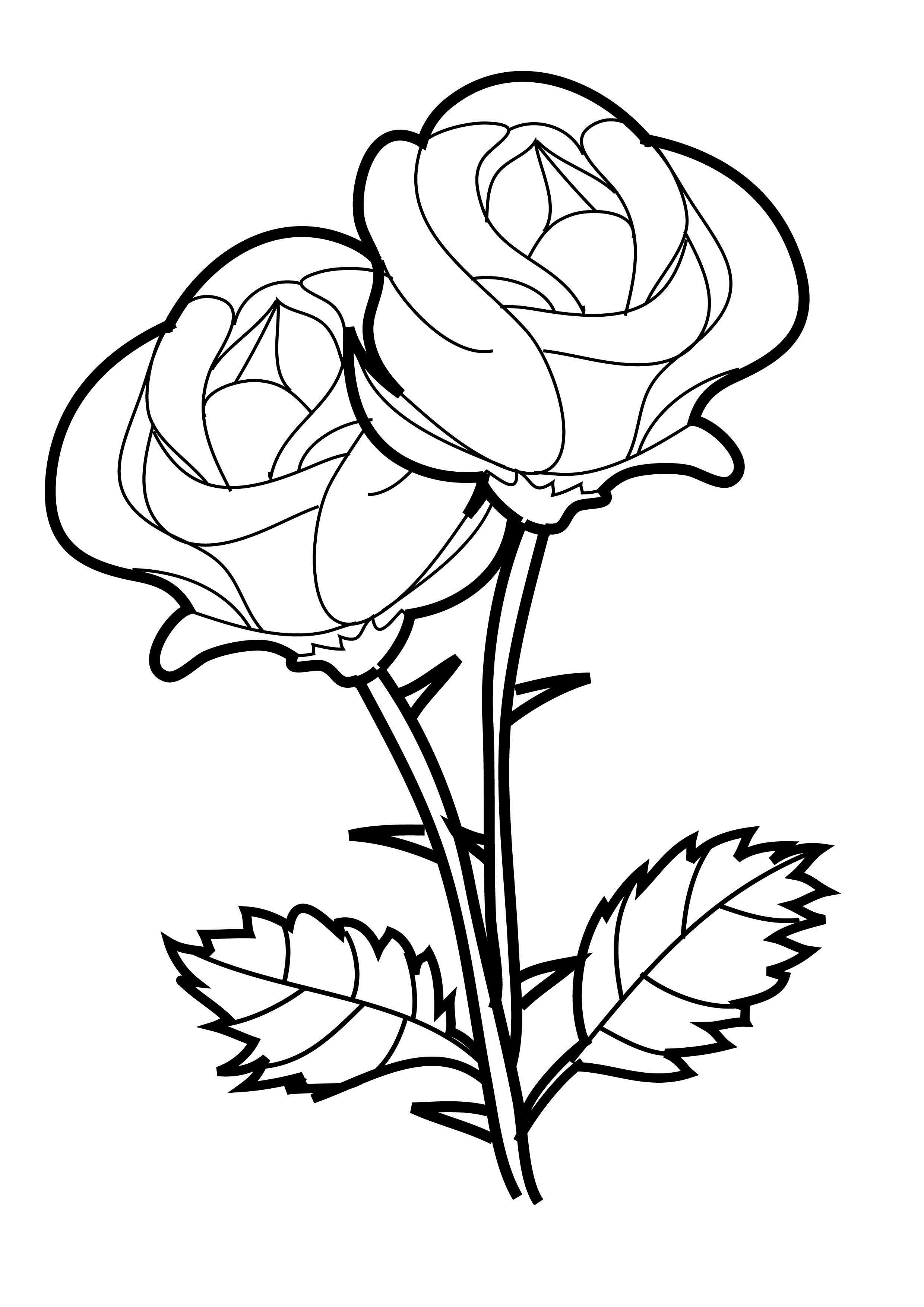 80 Printable Rose Coloring Pages 1