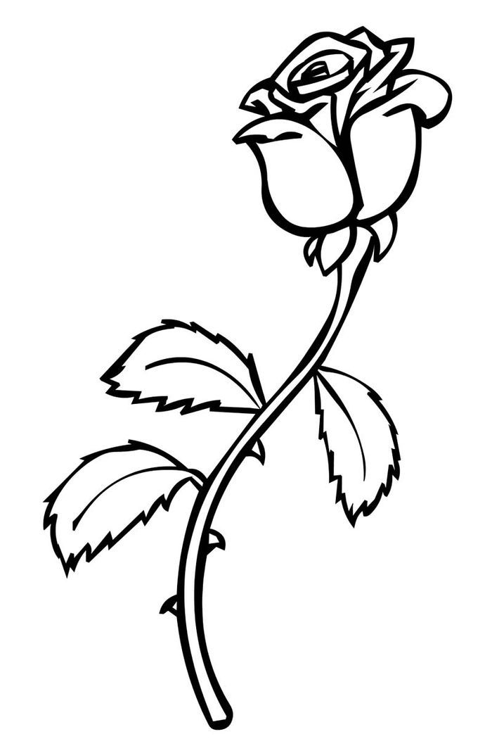 80 Printable Rose Coloring Pages 12