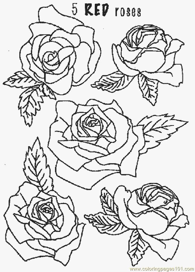 80 Printable Rose Coloring Pages 20