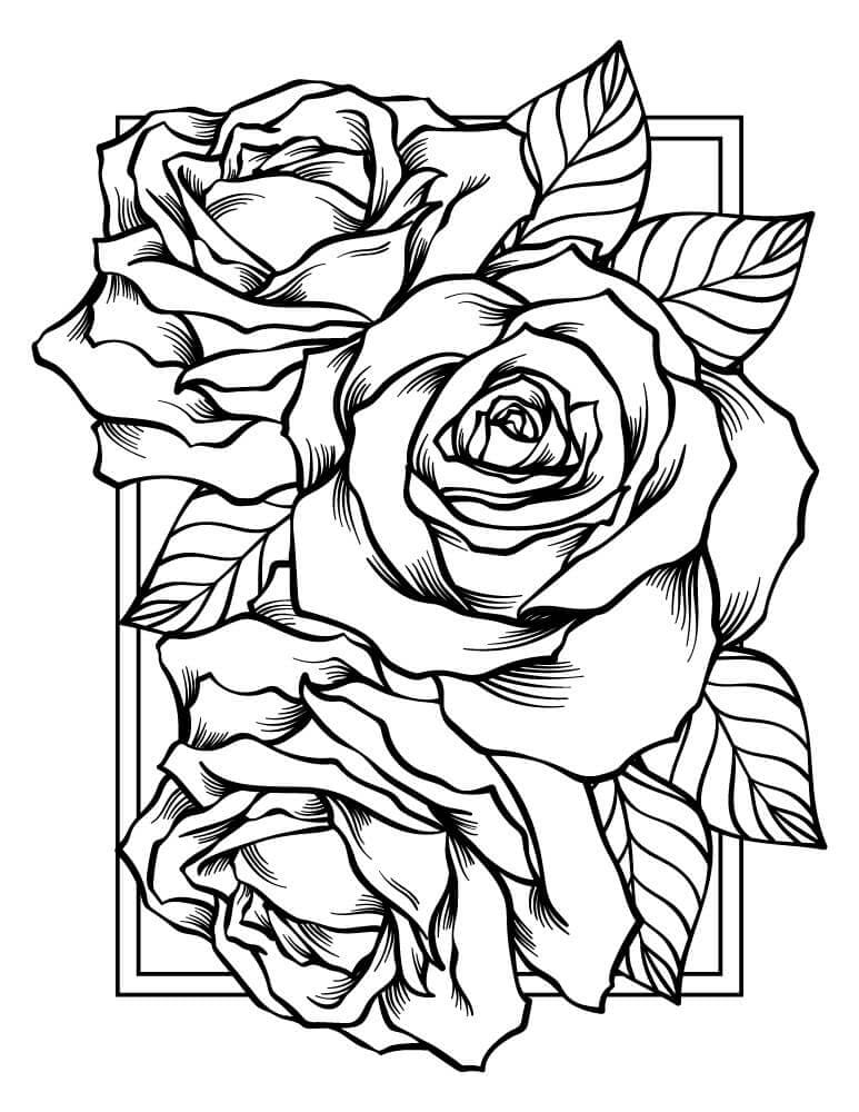 80 Printable Rose Coloring Pages 27