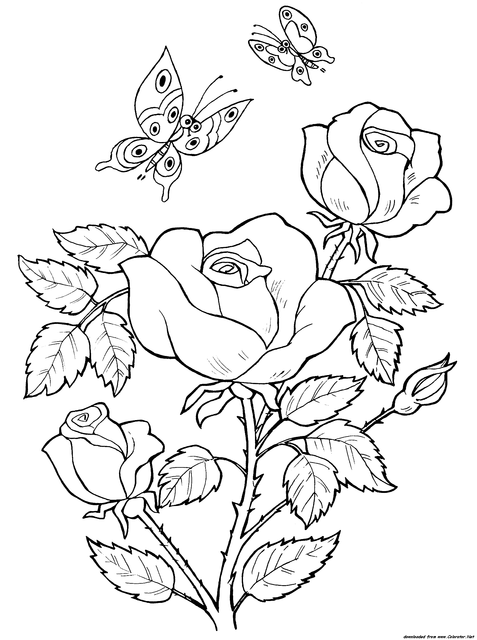 80 Printable Rose Coloring Pages 30