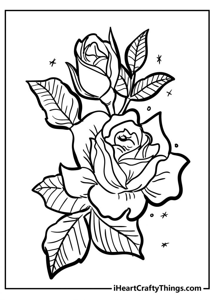 80 Printable Rose Coloring Pages 38