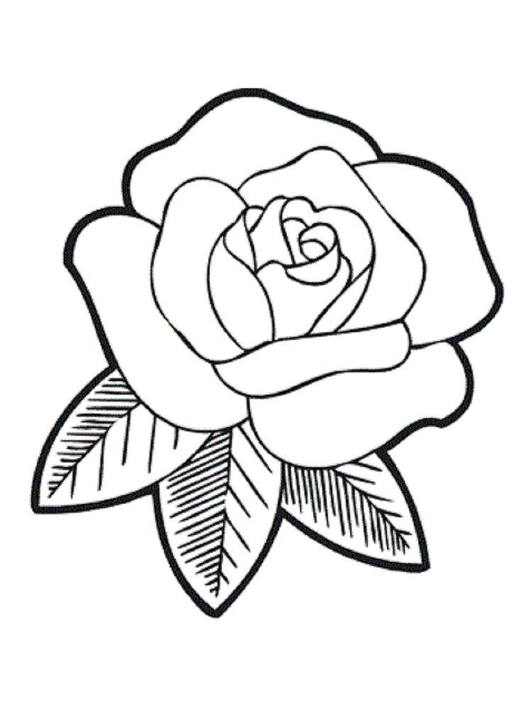 80 Printable Rose Coloring Pages 39