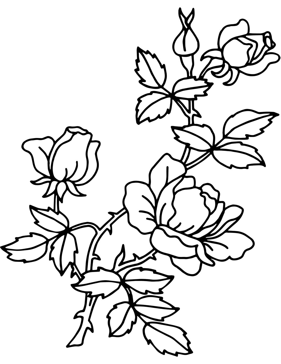 80 Printable Rose Coloring Pages 48