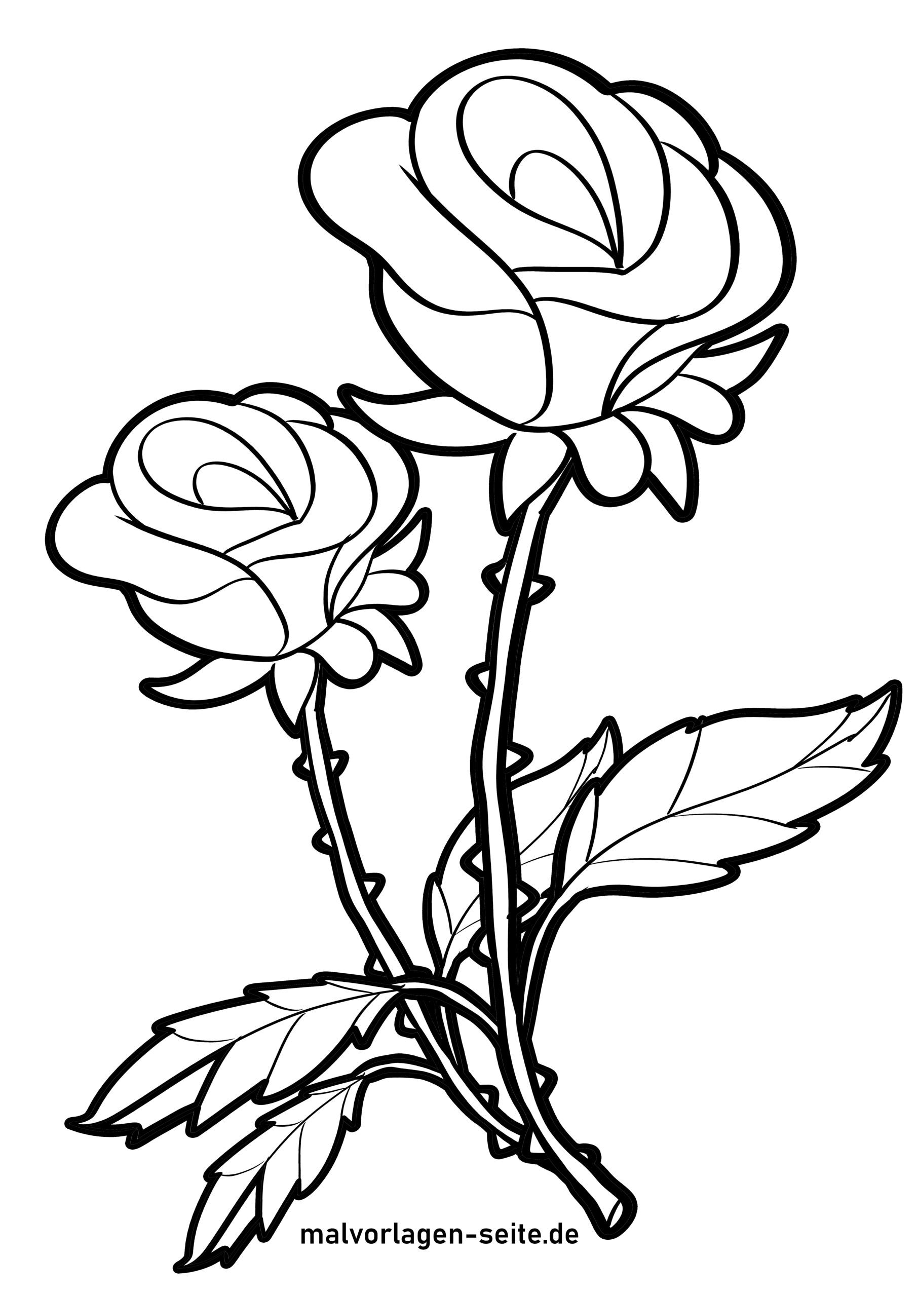 80 Printable Rose Coloring Pages 50