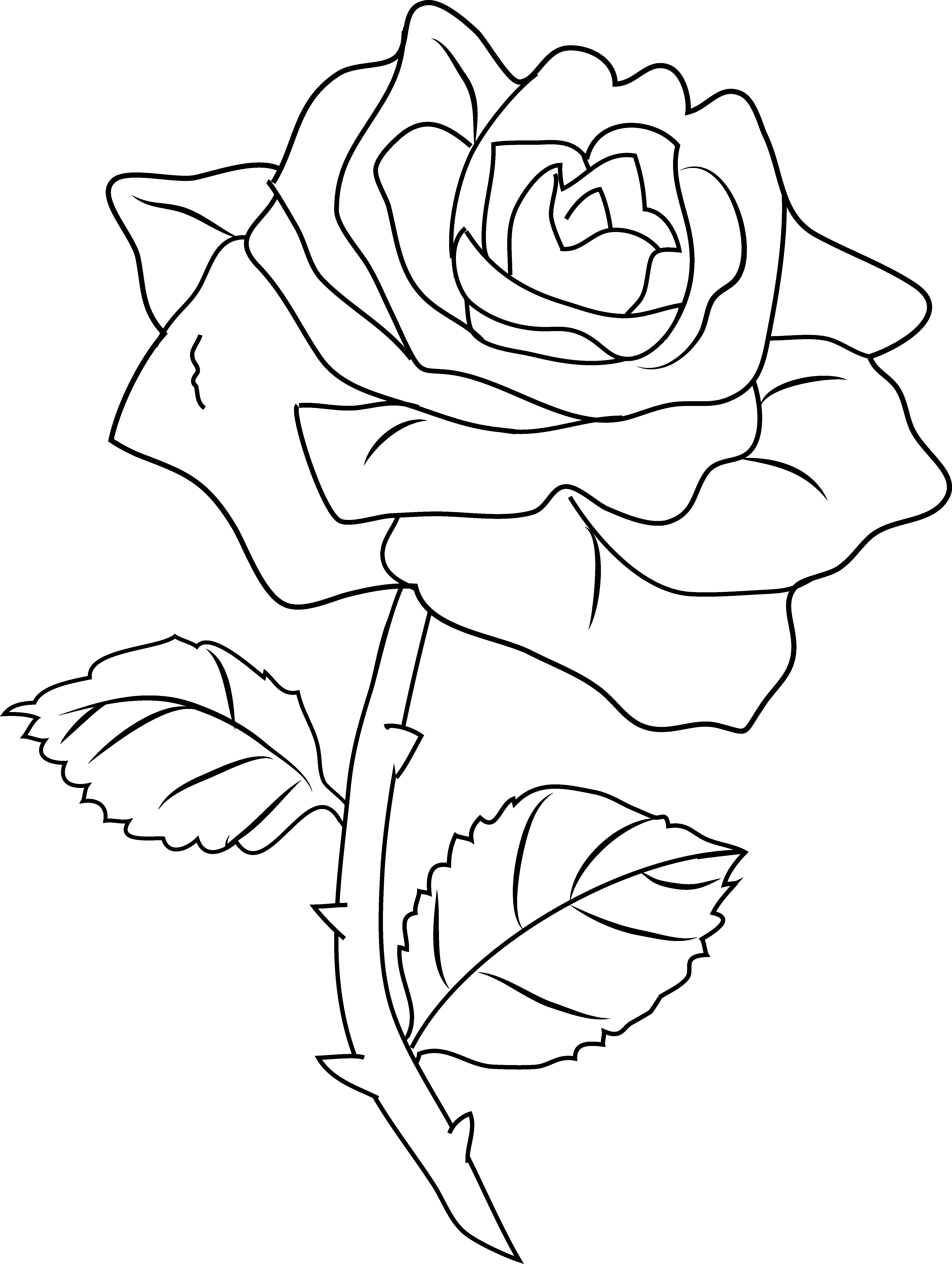 80 Printable Rose Coloring Pages 51