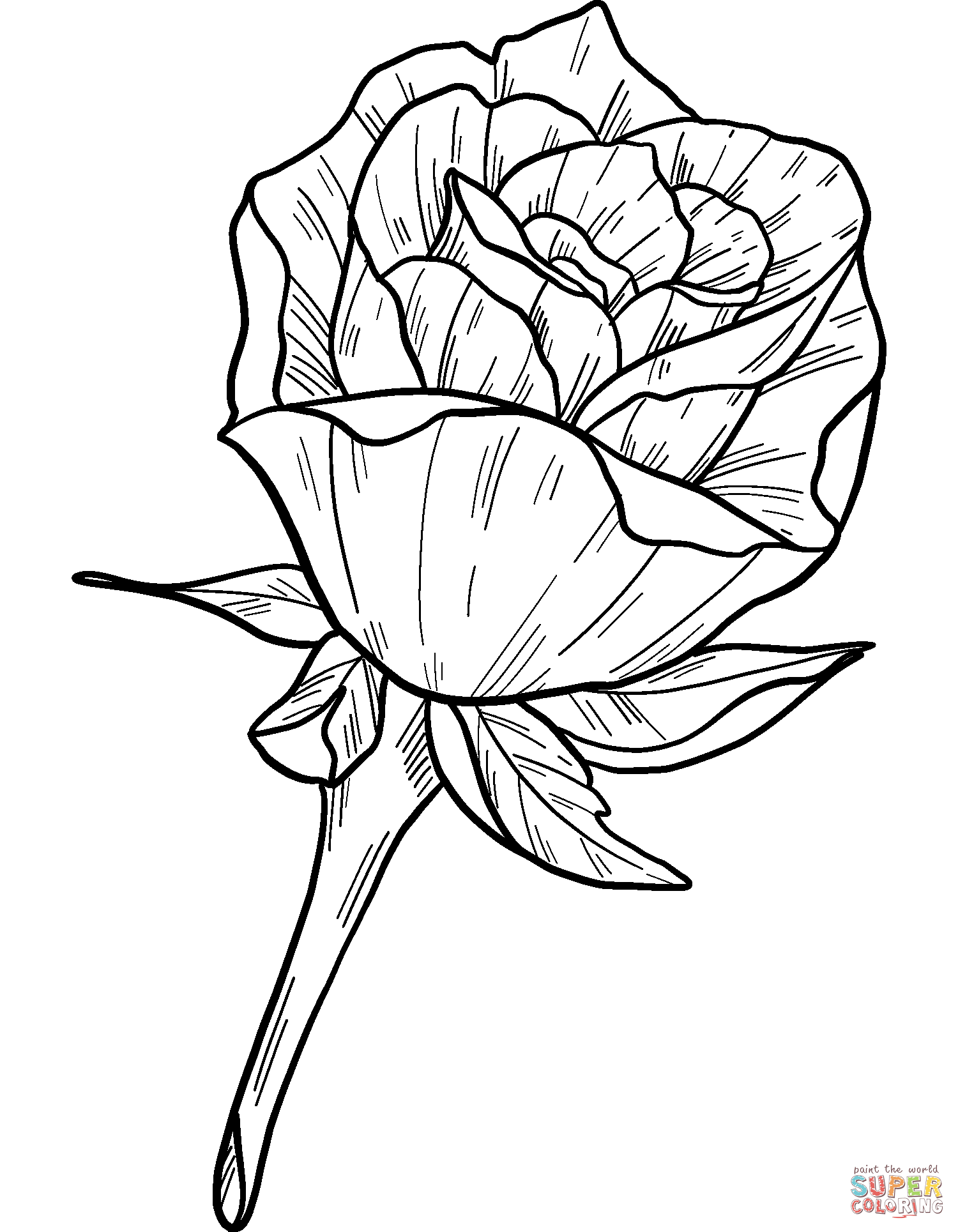 80 Printable Rose Coloring Pages 53