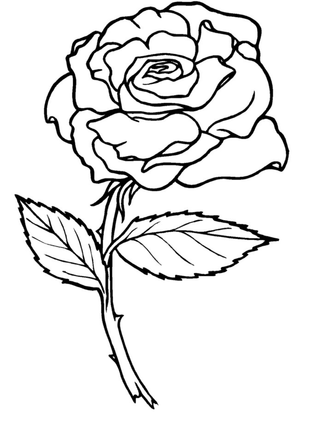 80 Printable Rose Coloring Pages 63