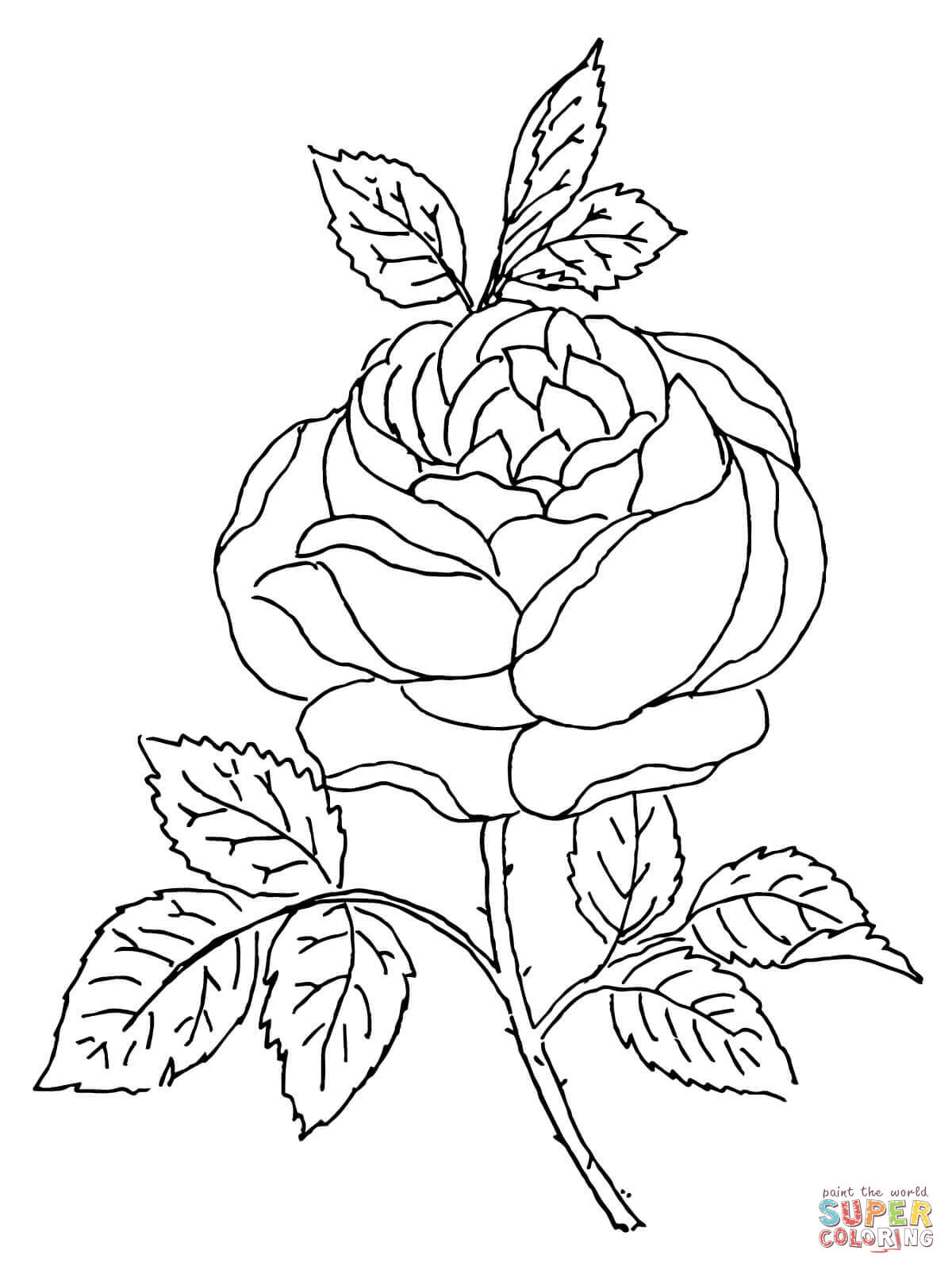 80 Printable Rose Coloring Pages 74