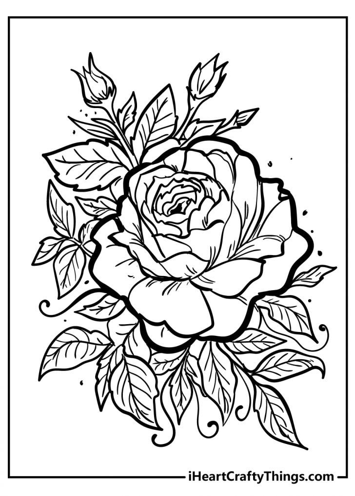 80 Printable Rose Coloring Pages 77