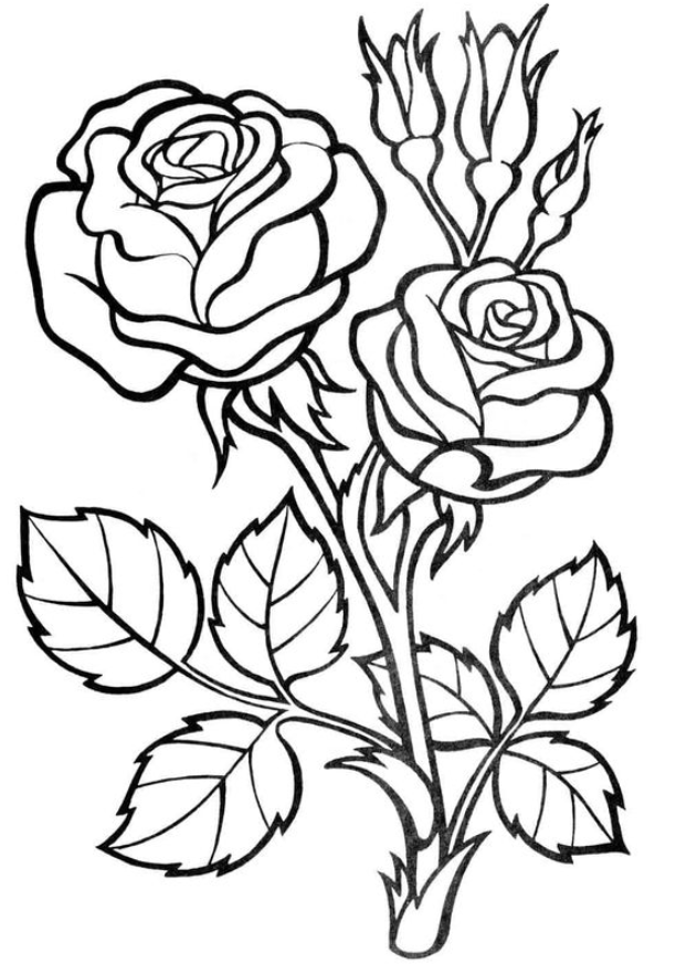 80 Printable Rose Coloring Pages 79