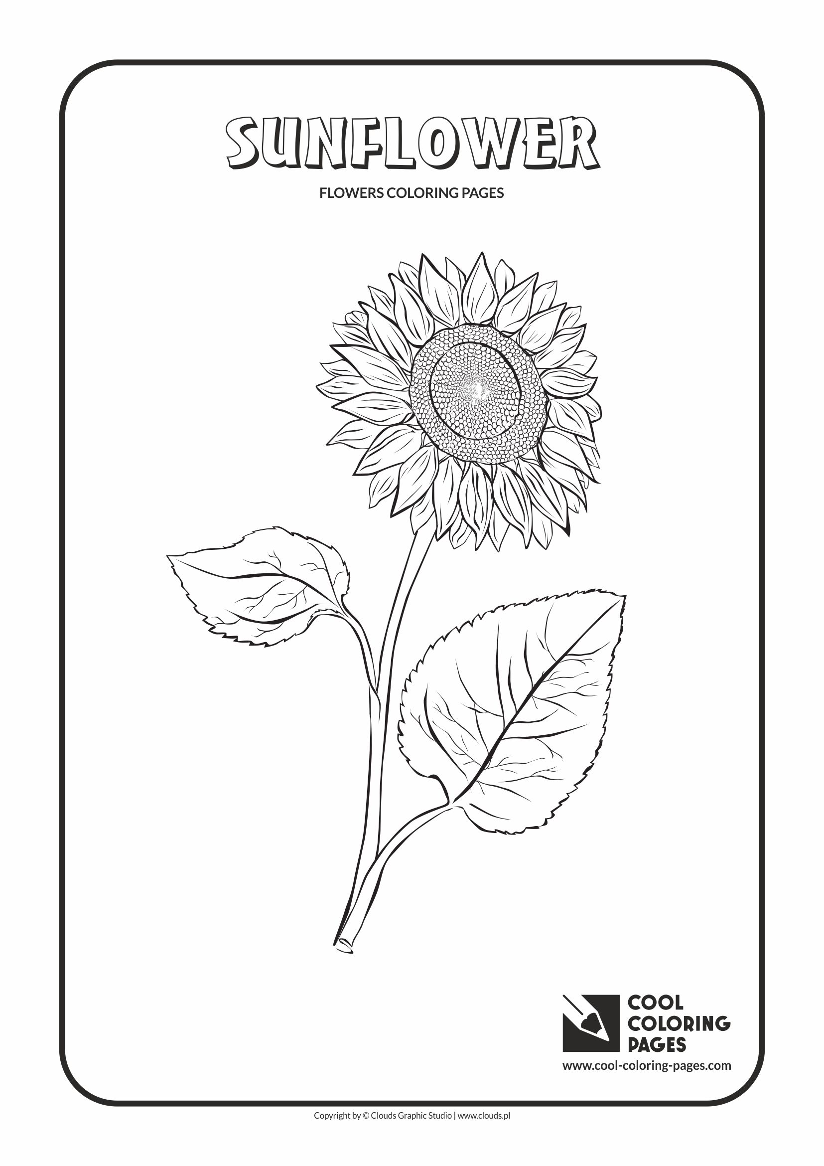 80 Printable Sunflower Coloring Pages 12