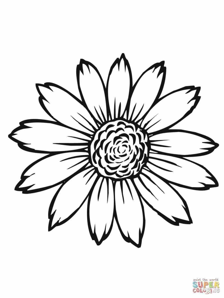 80 Printable Sunflower Coloring Pages 14