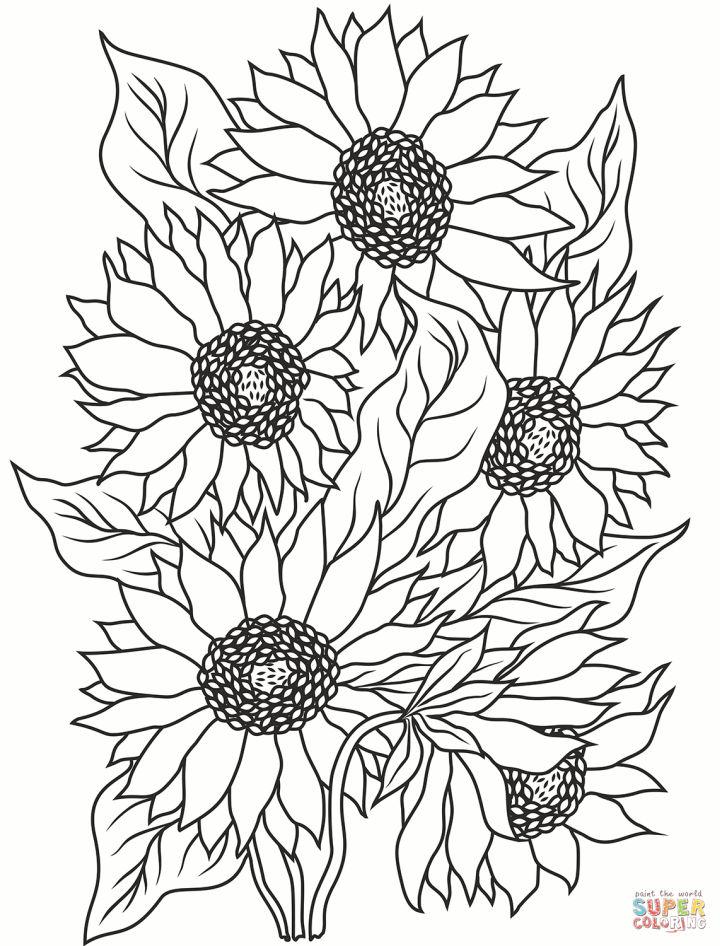 80 Printable Sunflower Coloring Pages 15