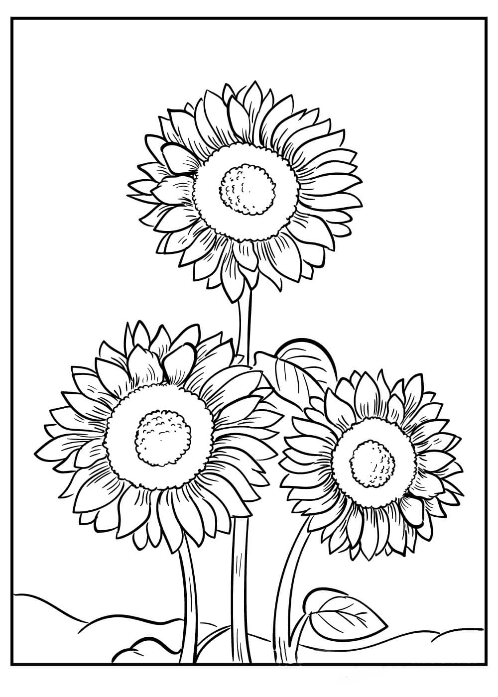 80 Printable Sunflower Coloring Pages 19