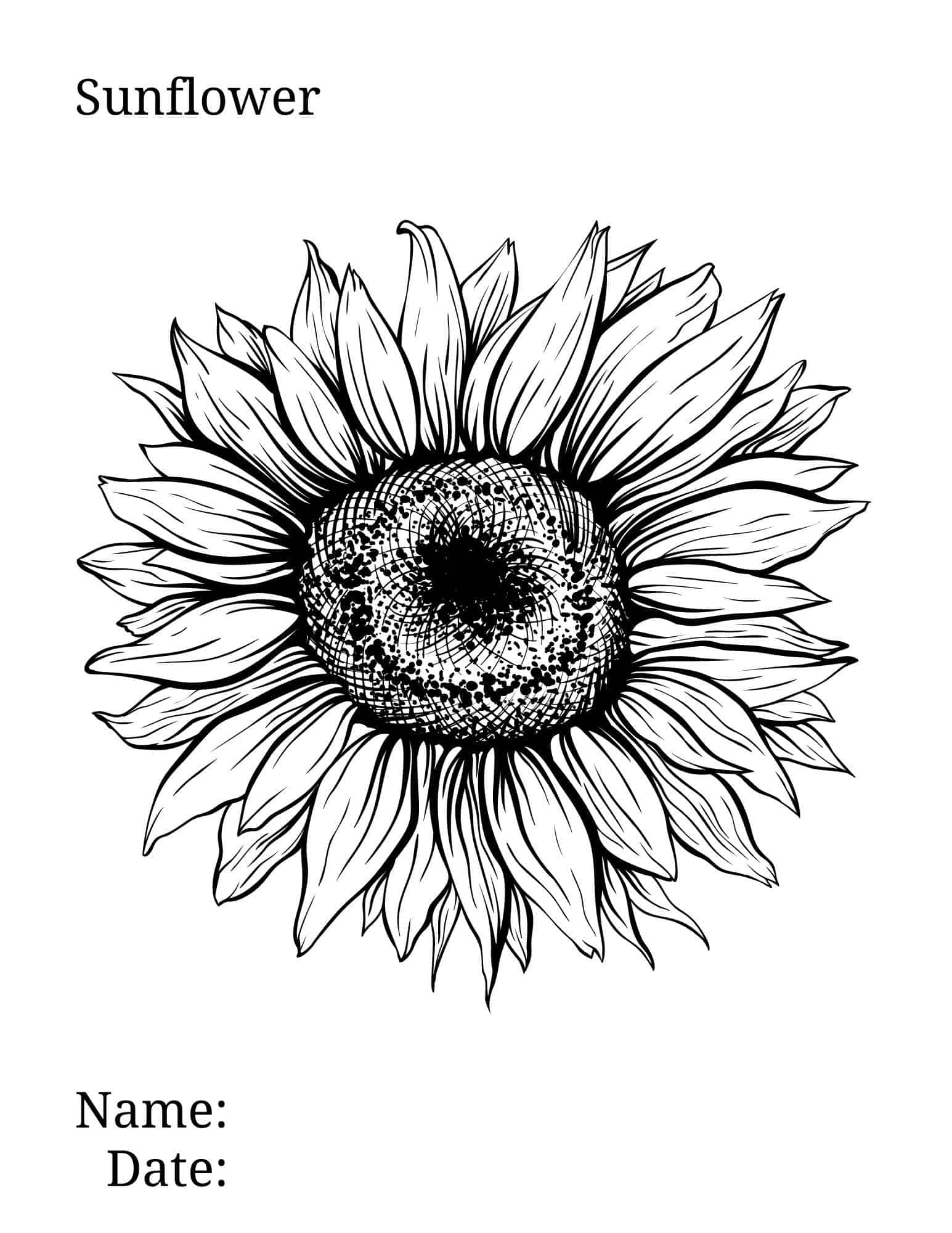 80 Printable Sunflower Coloring Pages 2