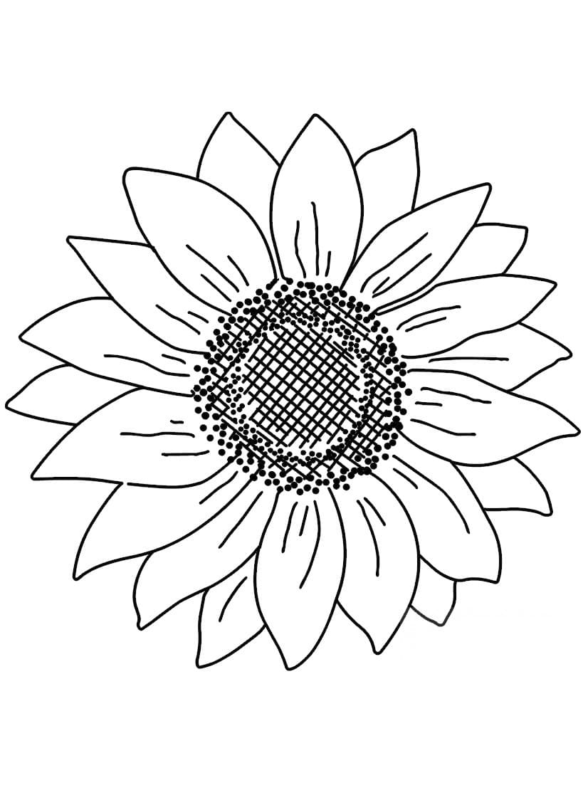 80 Printable Sunflower Coloring Pages 22