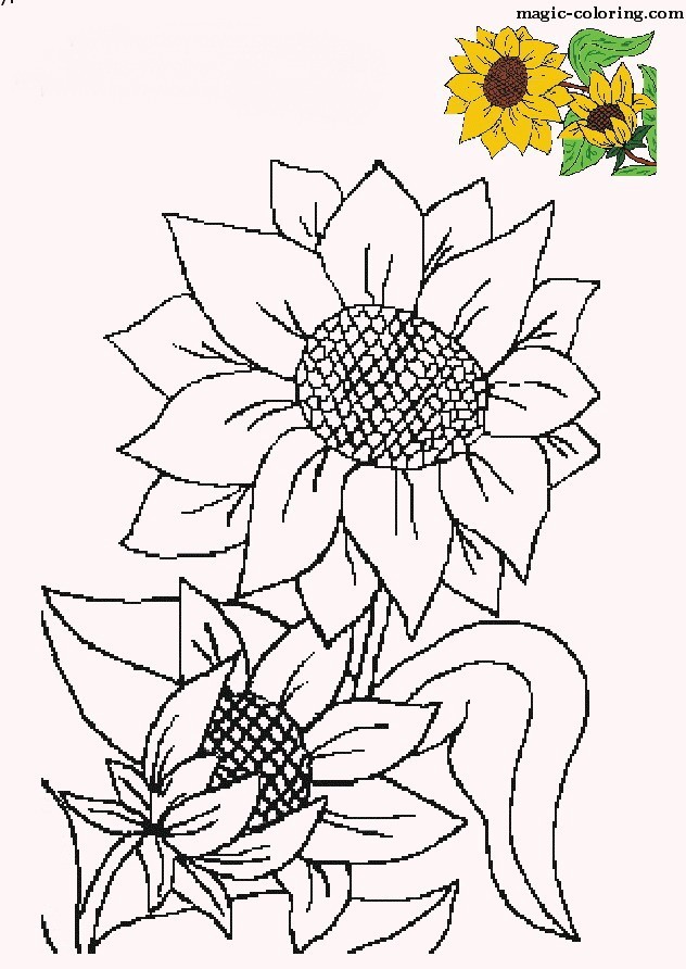 80 Printable Sunflower Coloring Pages 25