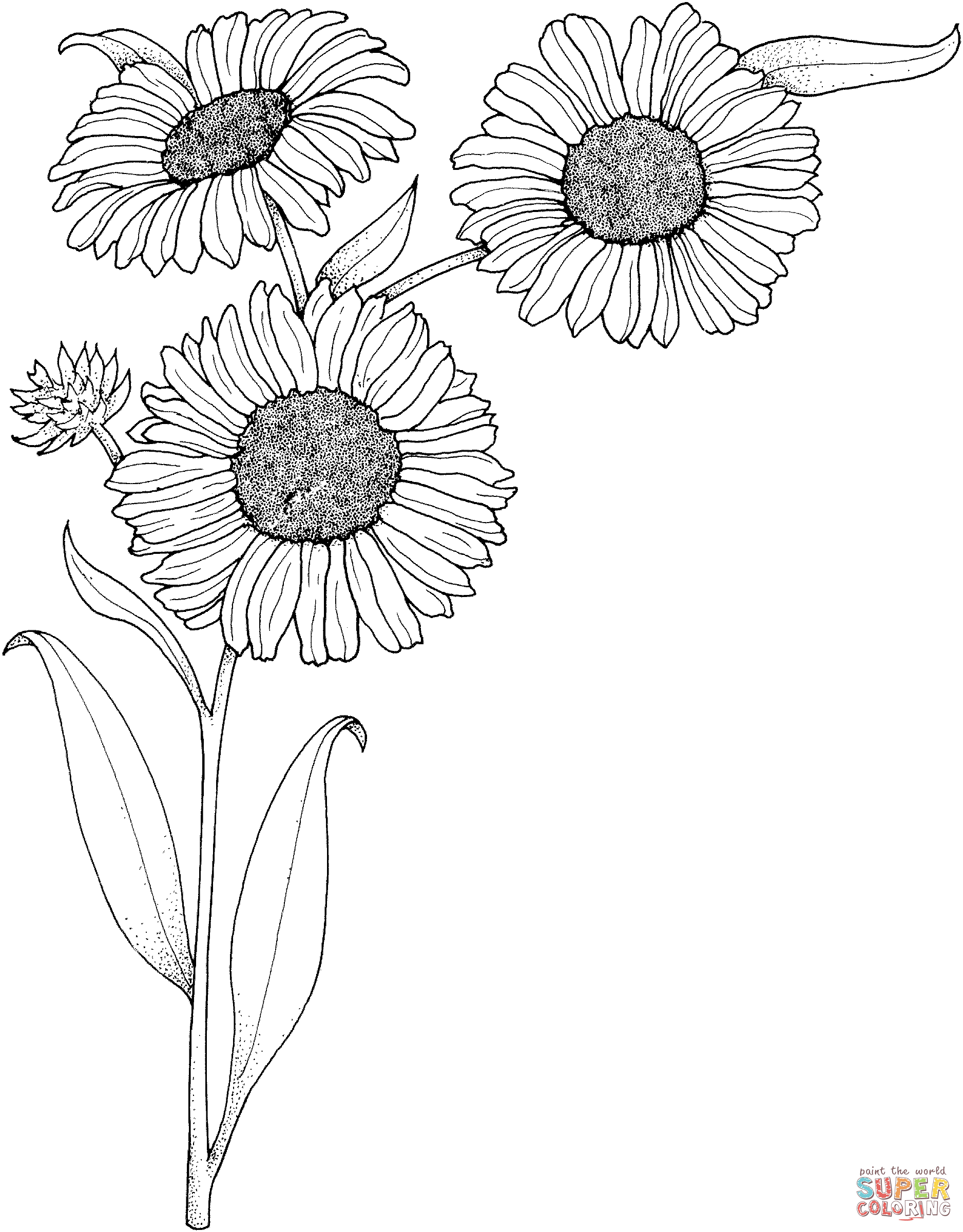 80 Printable Sunflower Coloring Pages 3