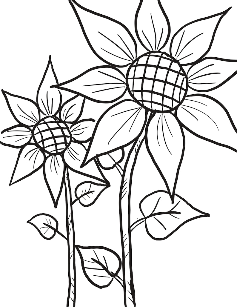 80 Printable Sunflower Coloring Pages 36